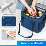 Viedouce Sac Glacière Isotherme 21L, Extensible Sac de Repas pour Hommes Femmes, Doubles Compartiments Étanches Sac de Pique-Nique avec Bandoulière & Ouvreur de Bière pour Déjeuner/Camping/Voyage